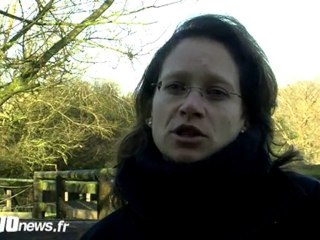 Les clubs équestres échappent à la hausse de la TVA