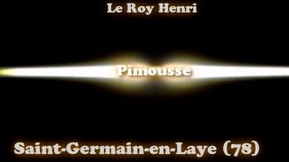Pimousse - Soirée de sélections du championnat d'île-de-France de karaoké à Le Roy Henri (Saint Germain en Laye, 78) - Interprêtation de Pimousse