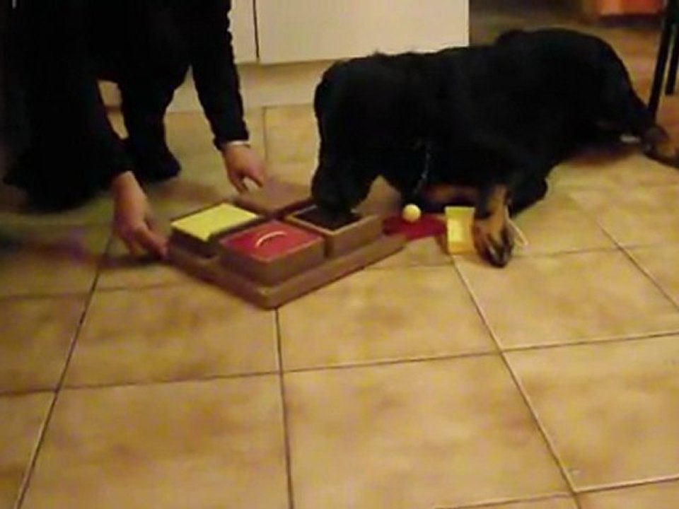 Vidéo Jeux de Drako par Feu Noir