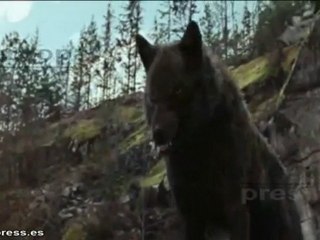 Lionsgate amenaza con más Crepúsculo