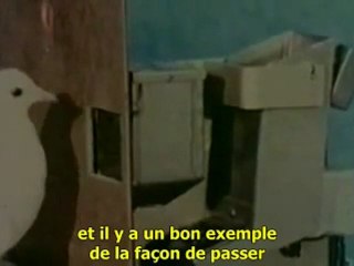 Le conditionnement opérant  skinnerien S/T