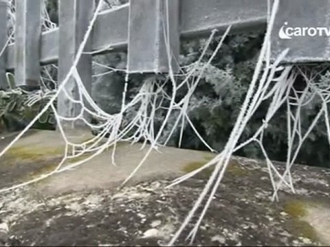 Icaro Tv. Nebbia e galaverna, l'inverno riminese