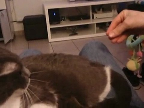 Des chtis Pouap en délire