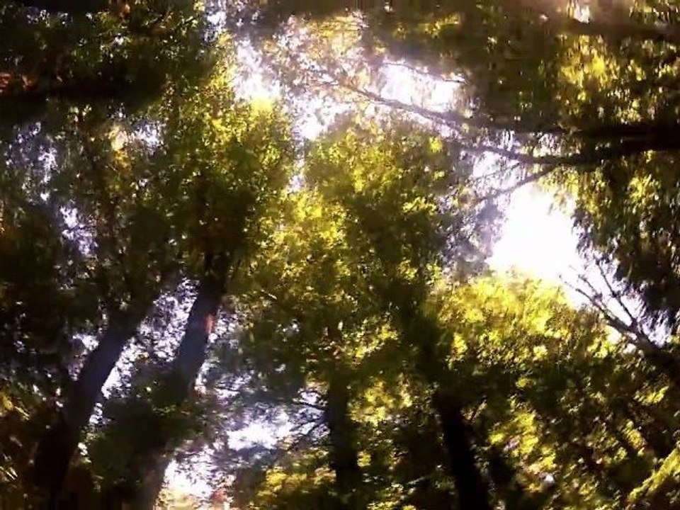 GoProTimeOut