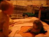 Baby gets owned by a cat! LOL
