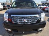2011 Cadillac Escalade ESV for sale in Roanoke Rapids NC - New Cadillac by EveryCarListed.com
