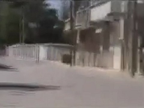 فري برس تلبيسة اطلاق نار على المتظاهرين وهم بانتظار اللجنة 24 8 2011