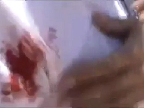 فري برس تلبيسة قبل مجيء اللجنة اصابة واطلاق نار كثيف 24 8 2011