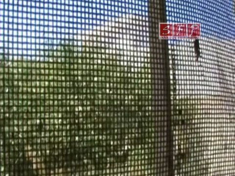 فري برس حمص تلبيسة اطلاق نار كثيف لا يتوقف 25 رمضان25 8 2011