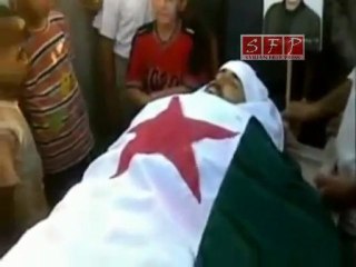 فري برس   الشهيد وليد خالد النسر28 8 2011