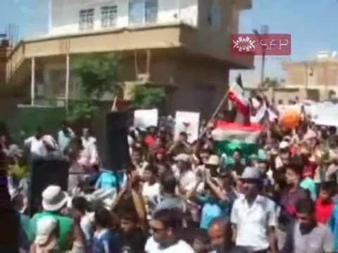 فري برس مظاهرة عامودا جمعة الحماية الدولية 9 9 2011