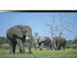 Samsung UN40D6300 40-Inch 1080p 120Hz LED HDTV Sale | Samsung UN40D6300 LED HDTV Review