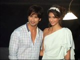 Shahid Kapoor In And Sonam Kapoor Out From Punit Malhotra's Next - Bollywood Movie Masala