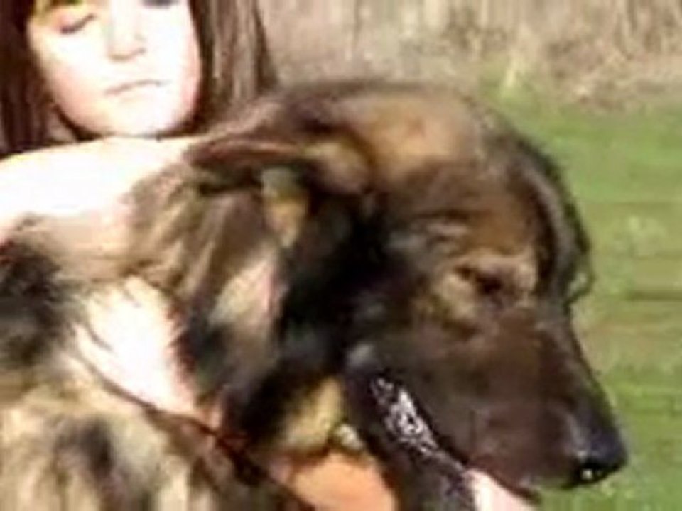 Zorro