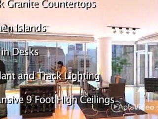 EnV Chicago Apartments in Chicago, IL - ForRent.com