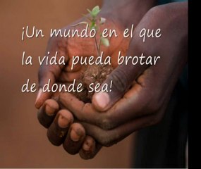 Deseo