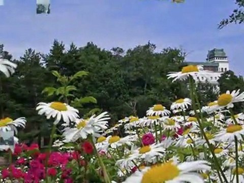 GÖKSEL BAKTAGİR-GÜLRU