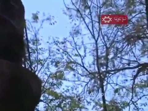 فري برس خربة غزالة حملة الرجل البخاخ بيت بشار السبت 8 10 2011