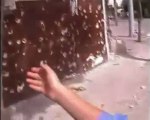 فري برس   حمص باب السباع طفل يروي ماحصل في حي المريجة من اثار القصف من الشبيحة و حاجز الفرابي على المنازل في المريجة 9 10 2011