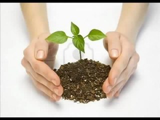 Wazz ub, Dinero extra