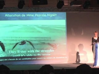 Discours de la 1ère adjointe