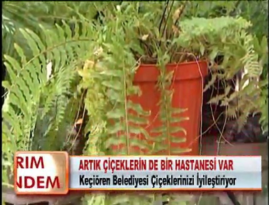 ARTIK ÇİÇEKLERİNDE BİR HASTANESİ VAR 20.01.2012