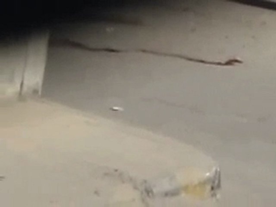 فري برس   سقبا  اطلاق الامن الرصاص على المتظاهرين 14 10 2011