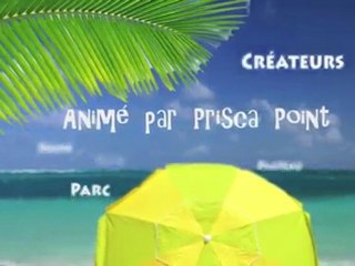 Générique Fun Tour 2011