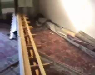 فري برس   وا اسلاماه   كفر الشبيحة   الاسد ربكم داخل مسجد حمص 15 10 2011