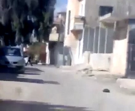 فري برس اقتحام الامن و الشبيحه لخربة غزالة 17 10 2011