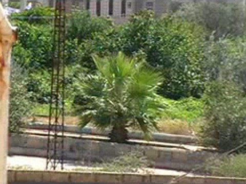 فري برس حماه كفرزيتا تعزيزات عسكرية وامنية الى المنطقة 17 10 2011