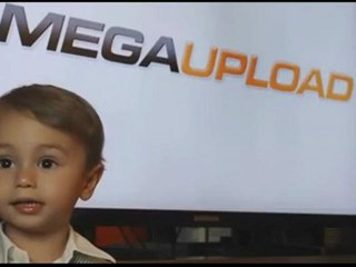 Celebrities Endorse Megaupload