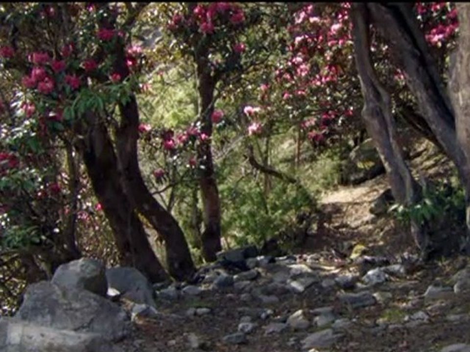 Aaron Copland - The Heiress Suite