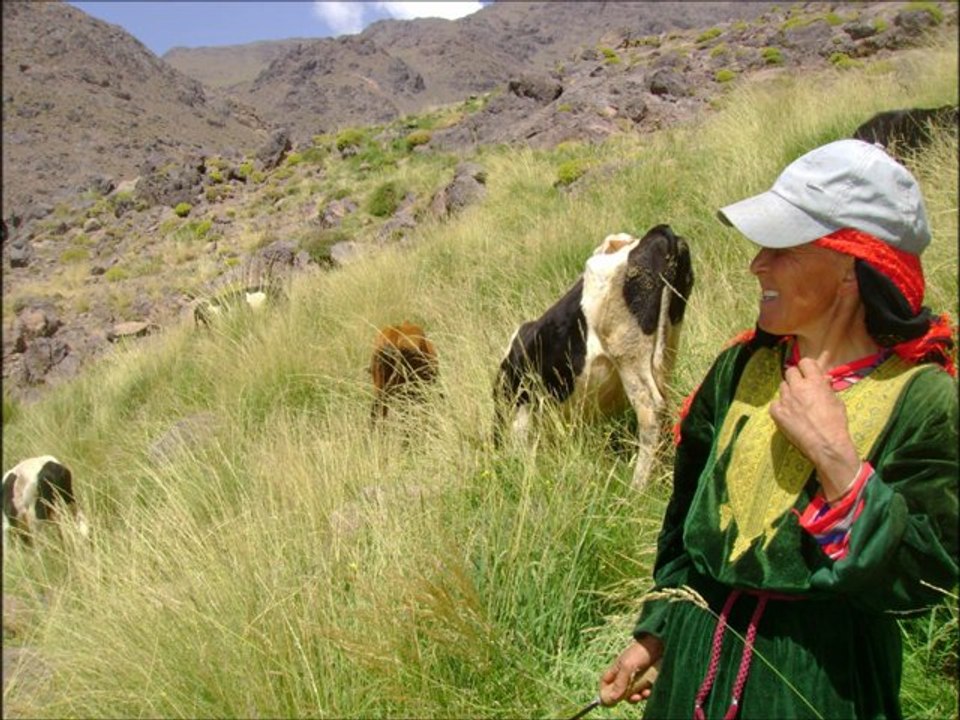film l'hzib n'tifni toubkal