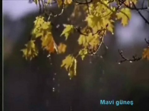 Nilufer Donsen Bile Donsen Bile..