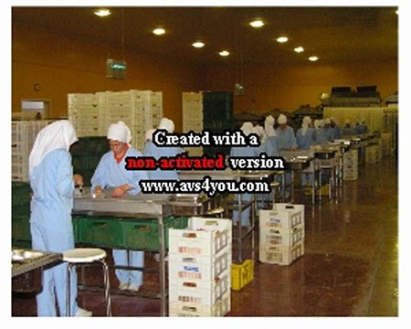 SAMRIOGLU EXPORT - Turkish Dried Apricots