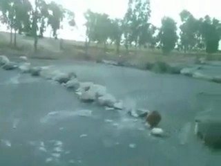 فري برس   ضراب عام وشامل في درعا ومدنها واغلاق كافة الطرق في المحافظة 23 10 2011