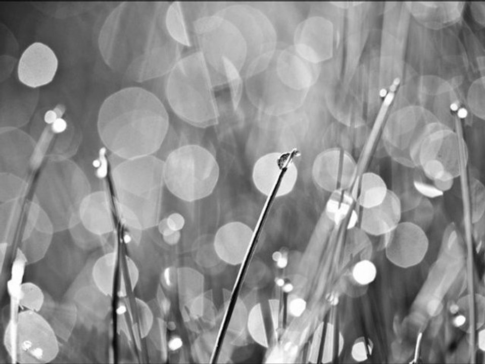 Schlepp Geist - unknown