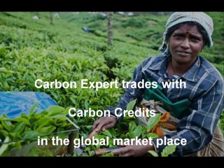 Carbon Expert - Carbon Credits & Emissions Trading