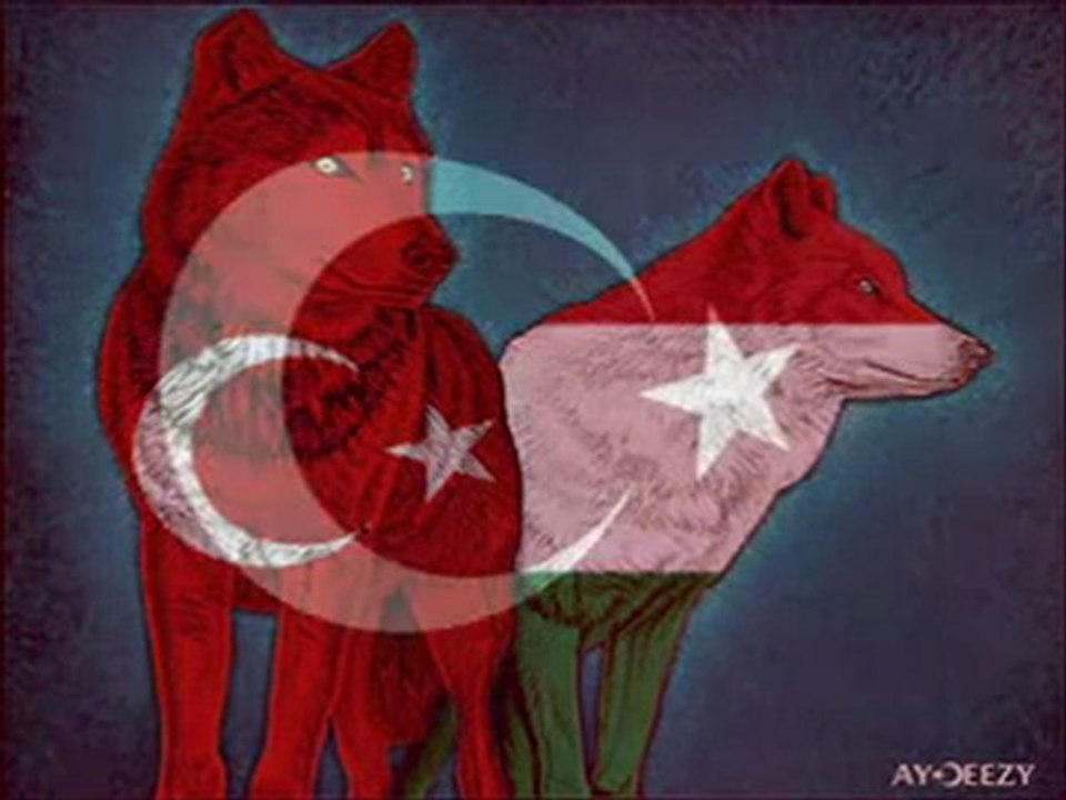 Türk-Macar Dostluğu-©-Török-Hungarian(Magyar) Baratsag-(Turkey-Hungary)