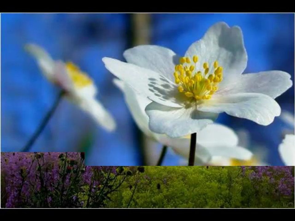 Gregorian Masters of Chant Chapter III Join Me