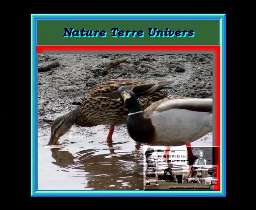 GREGORIAN Moment Of Peace Moment de Paix