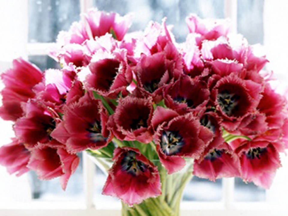 How to make cut flowers last longer