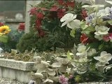 cimitero maggiore liberati 235 posti