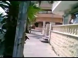 فري برس   انتشار الشبيحة عند جامع ابو بكر 28 10 2011