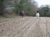 Course au galop avec les poneys