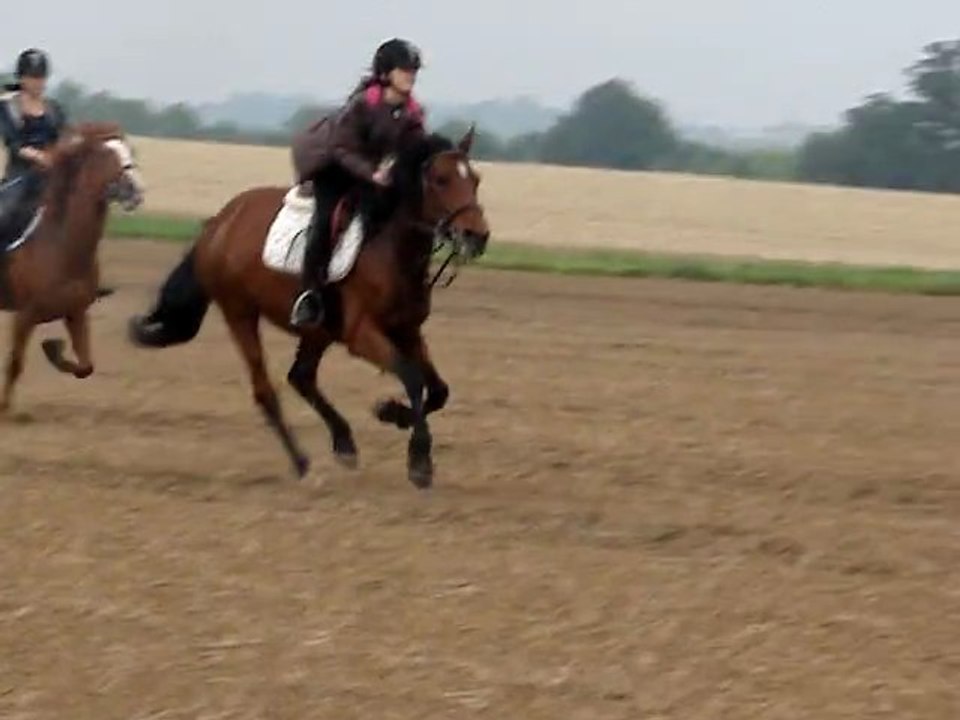 Grand galop dans les champs Clo et Steffie.