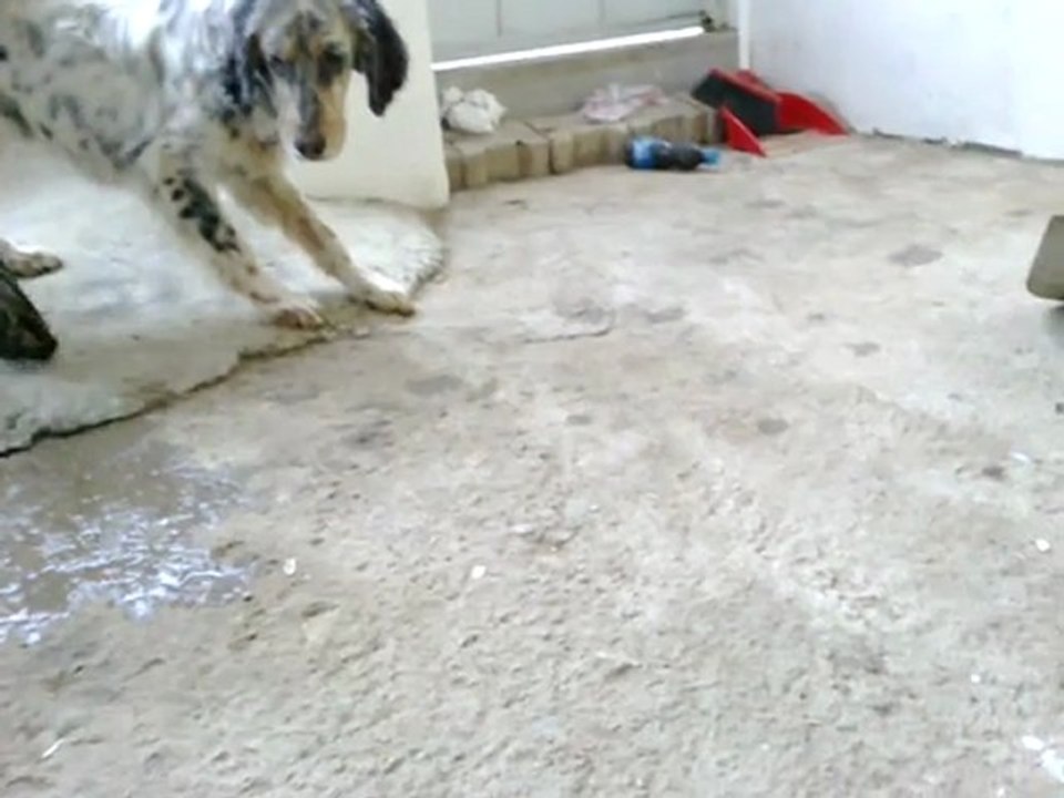 14012012018