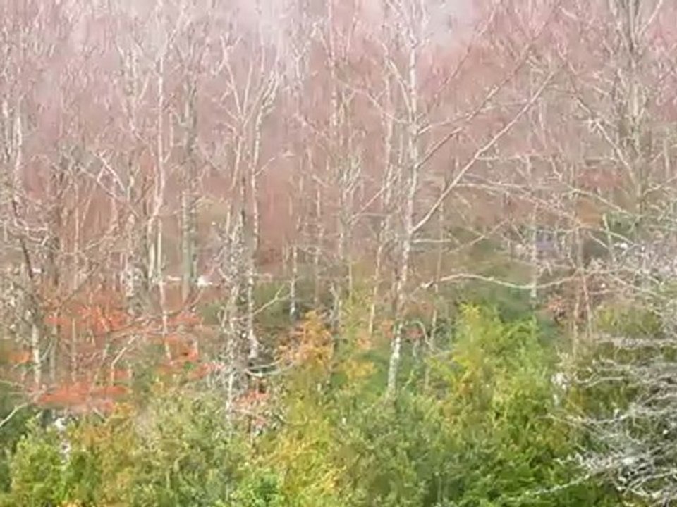 Monte Carlo 2012 le 20/01