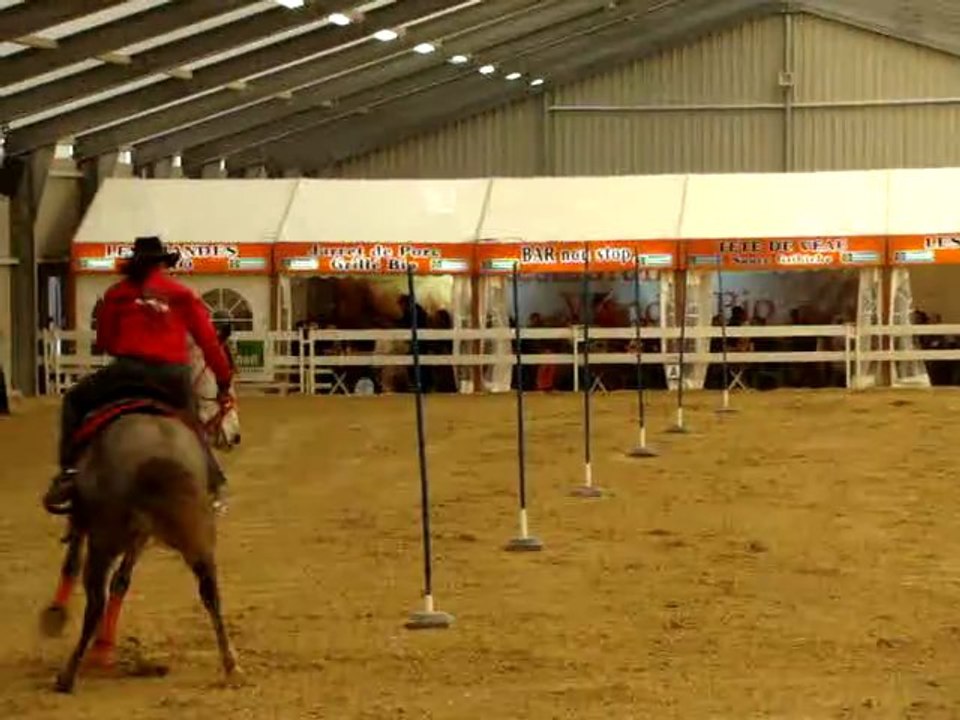 Pole bending Vio - Sheïtane